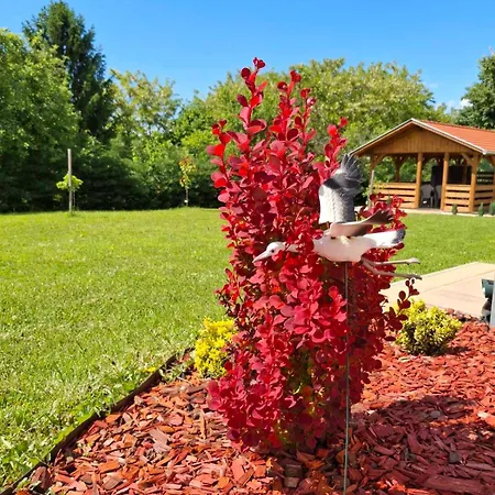 Vidéki-báj Appartement Szentgyorgyvolgy